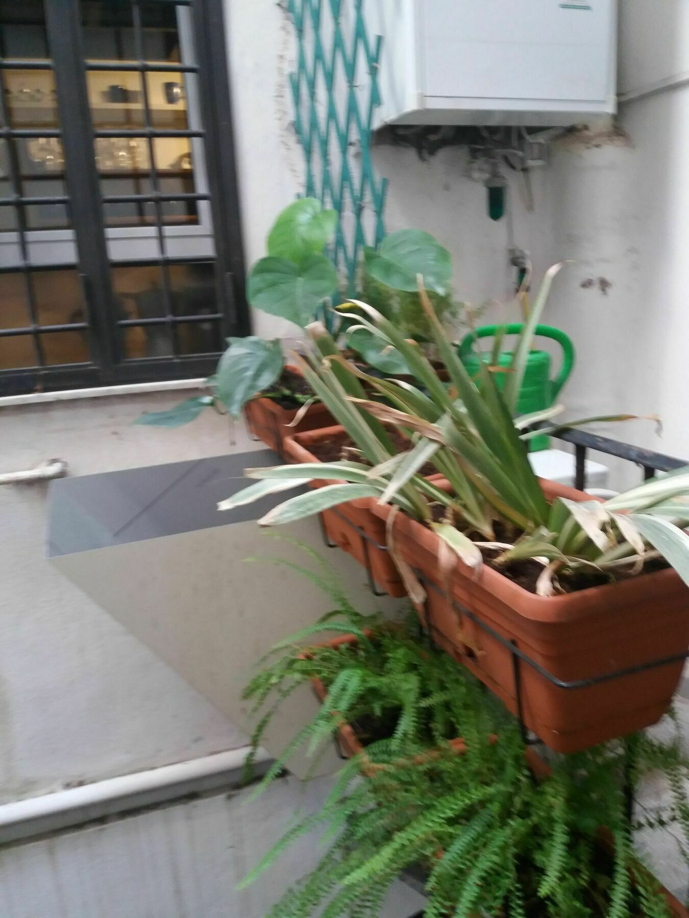 Campofiori Appartement Rome Buitenkant foto
